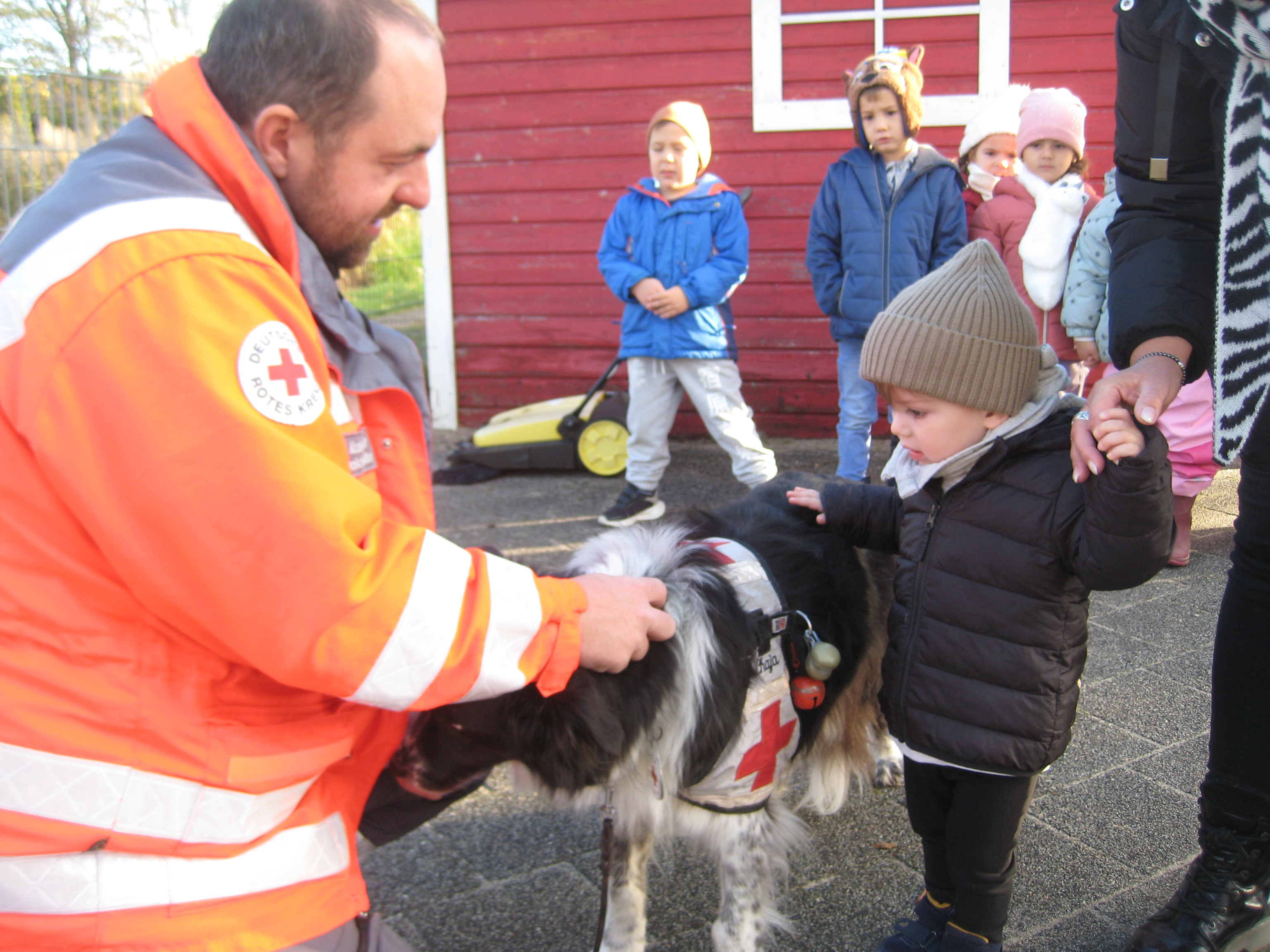  Ein Hund der Rettungshundestaffel zu Besuch im Kindergarten 